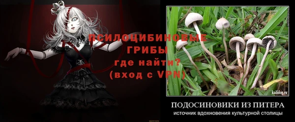mdpv Арсеньев